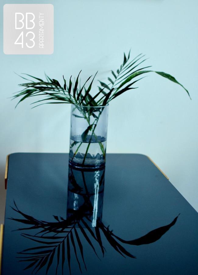 Apartamenty Bb43 Bielsko-Biala Luaran gambar